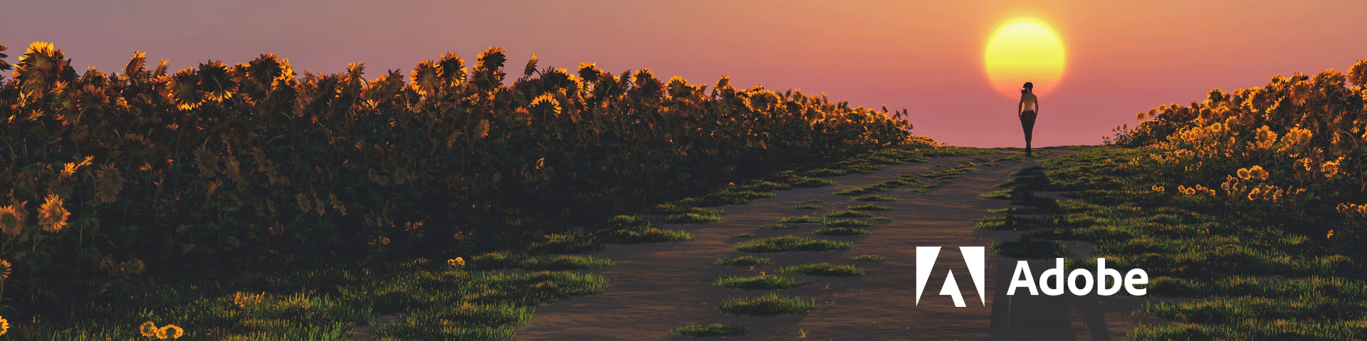 Profitez de la réduction !