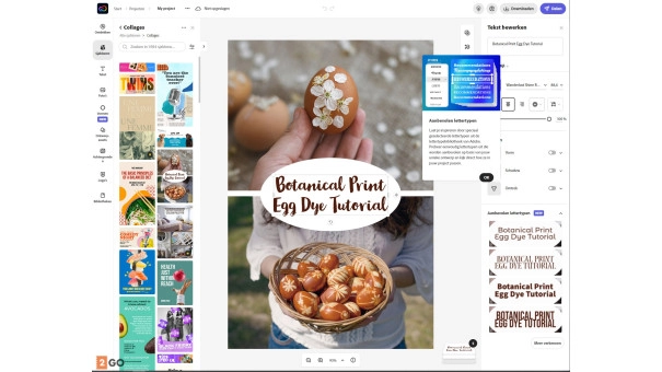 Adobe Express Premium | 1 Jaar | Windows | Mac | Android | iOS