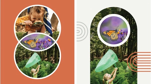 Adobe Photoshop Elements 2023 |  Windows | Meertalig