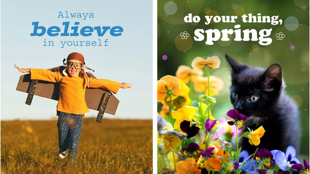 Adobe Photoshop Elements 2023 |  Windows | Meertalig