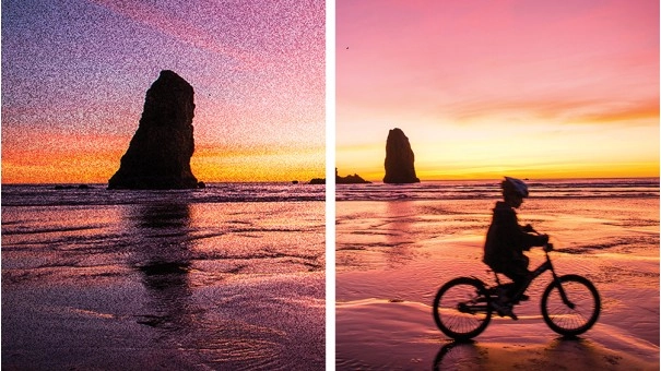 Adobe Photoshop Elements + Premiere Elements 2023 Mac Student & Teacher