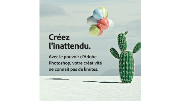 Adobe Photography Plan (Photoshop CC + Lightroom CC) | 1 utilisateur | 1 an | 20 Go de stockage en cloud