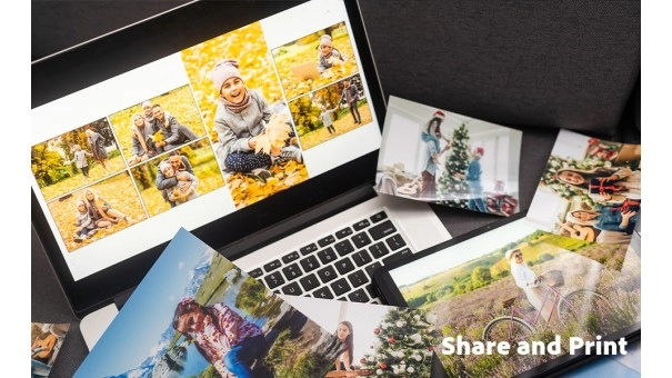 Adobe Photoshop Elements & Premiere Elements 2026