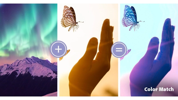 Adobe Photoshop Elements & Premiere Elements 2025 for Windows & MacOS