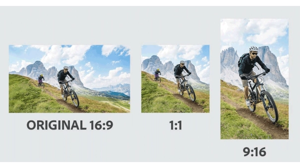 Adobe Photoshop Elements & Premiere Elements 2025 for Windows & MacOS