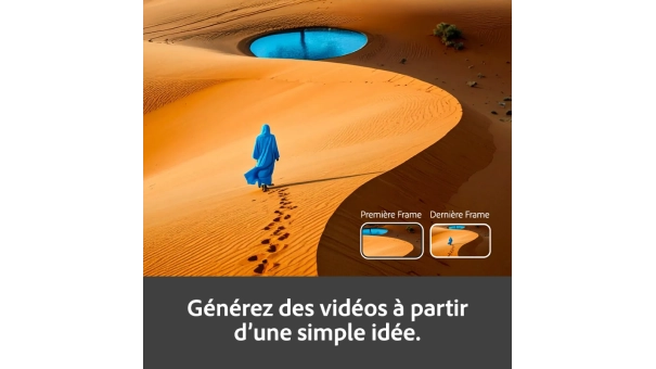 Adobe Firefly Standard | 1 an | 2000 crédits IA par mois