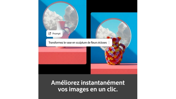 Adobe Firefly Standard | 1 an | 2000 crédits IA par mois