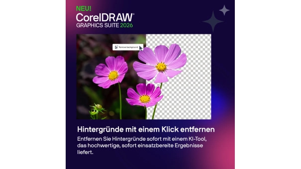 CorelDRAW Graphics Suite 2026 | Einmaliger Kauf | Windows & Mac