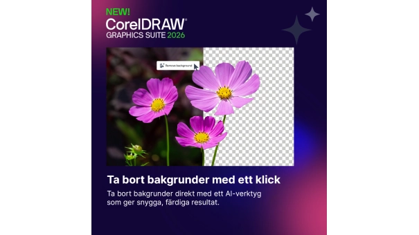 CorelDRAW Graphics Suite 365 | 1 år | Windows - Mac